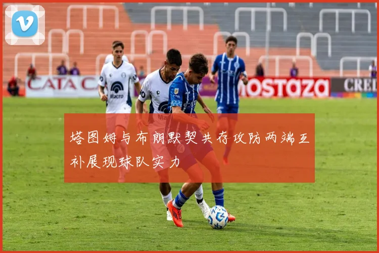塔图姆与布朗默契共存攻防两端互补展现球队实力